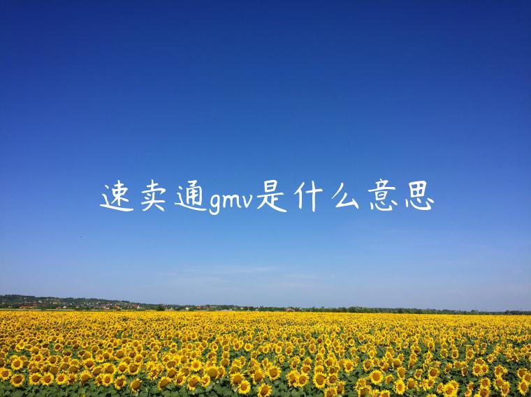 速賣通gmv是什么意思